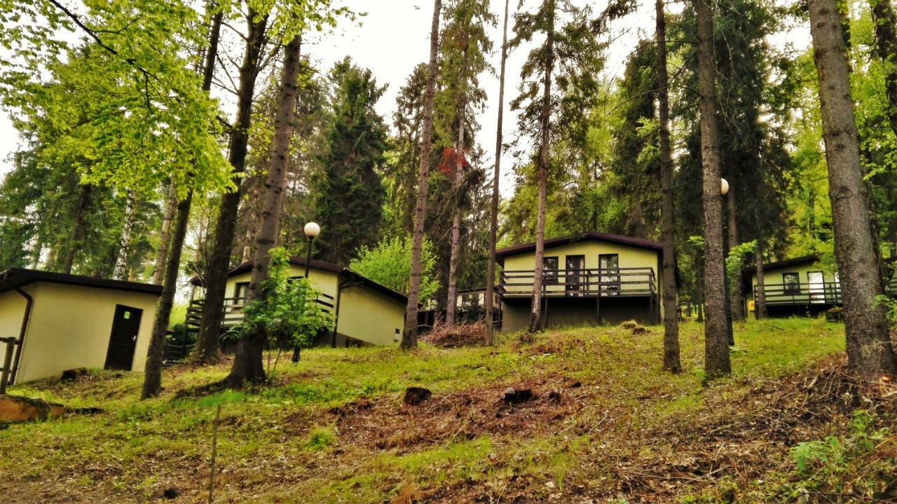 Kompleks Wypoczynkowo - Sportowy "Marysienka" Villa Miedzybrodzie Bialskie Luaran gambar